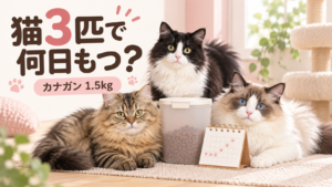 はるく・あきは・まふゆの3匹と、カナガン1.5kgが何日もつかを考えるイラスト