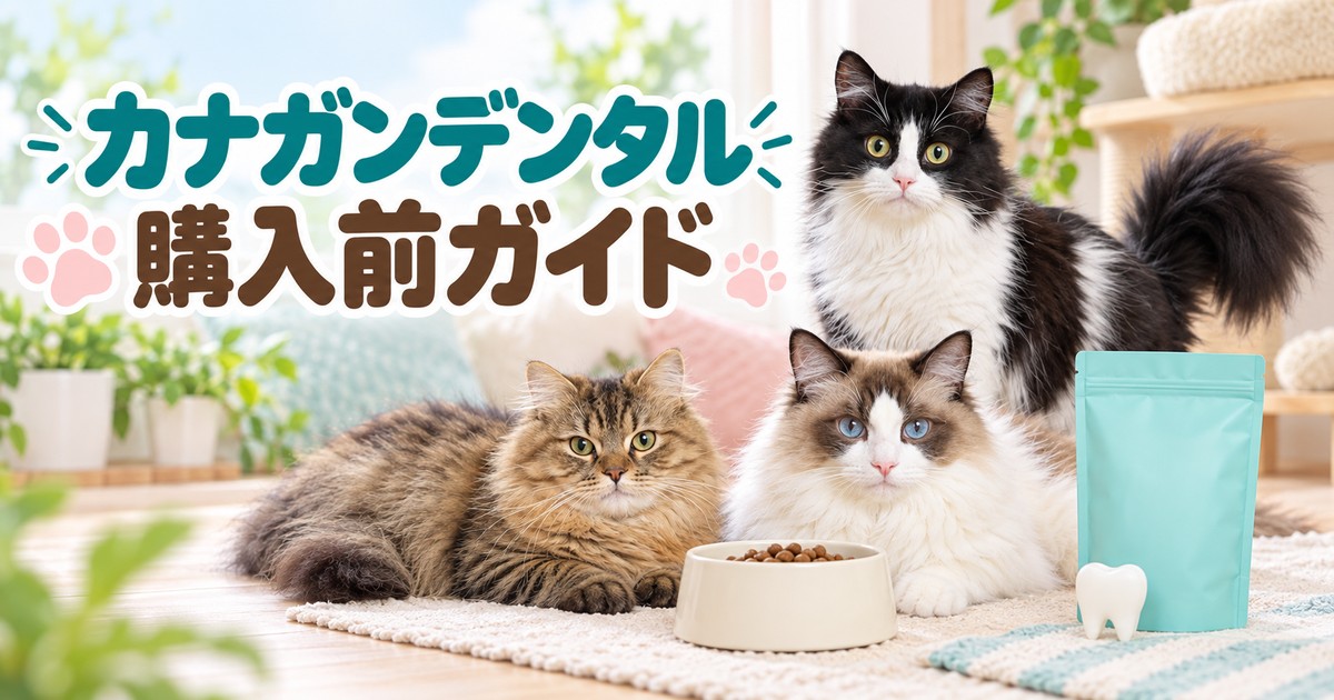 まふゆ・はるく・あきはと確認するカナガンデンタル購入前ガイド