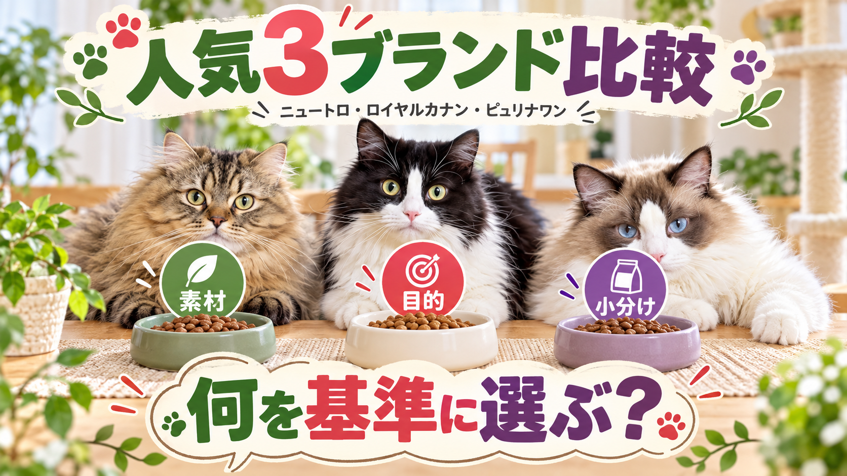 3匹の猫が人気キャットフード3ブランドの選び方を比較するアイキャッチ