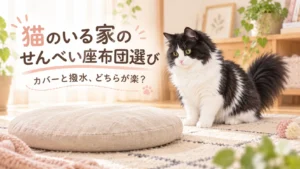 猫のいる家のせんべい座布団選び。黒白の長毛猫はるくと丸い座布団のイメージイラスト